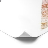 Poster Donald Trump (Coin)