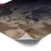 Poster Donald Trump (Coin)