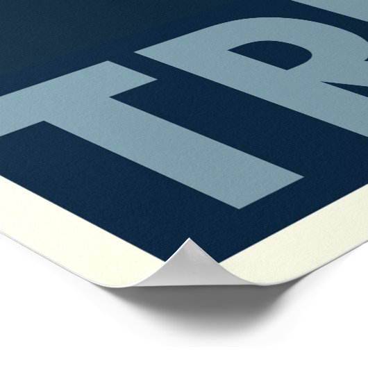 Poster Donald Trump (Coin)