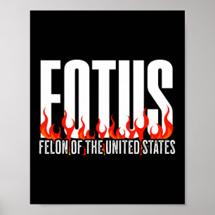 Poster Donald Trump 47 Fotus Criminel Des États-Unis P