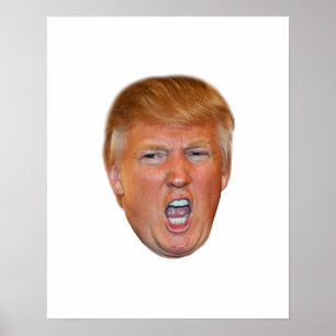 Poster Donald Trump floating head