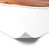 Poster Donald Trump Masque (Coin)