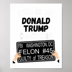 Poster Donald Trump Prison Condamnation, Anti Trump For P