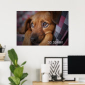 Poster Donc désolé (Bureau à domicile)