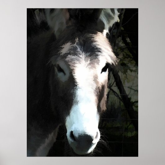 POSTER DONKEY (Devant)