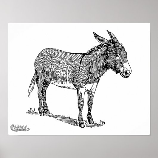 Poster Donkey (Devant)
