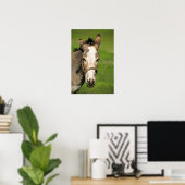 Poster Donkey (Bureau à domicile)