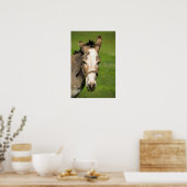 Poster Donkey (Cuisine)