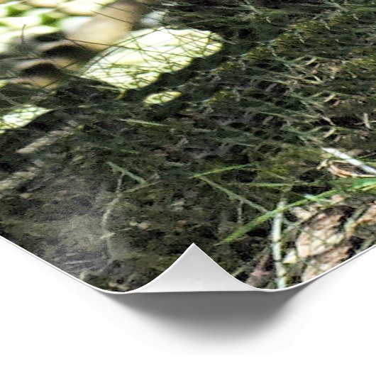 POSTER DONKEY (Coin)