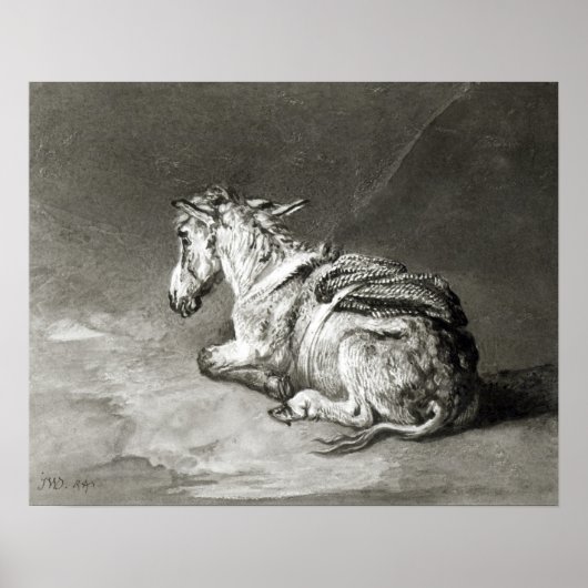 Poster Donkey au repos (Devant)