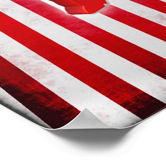 Poster Donkey démocrate (Coin)