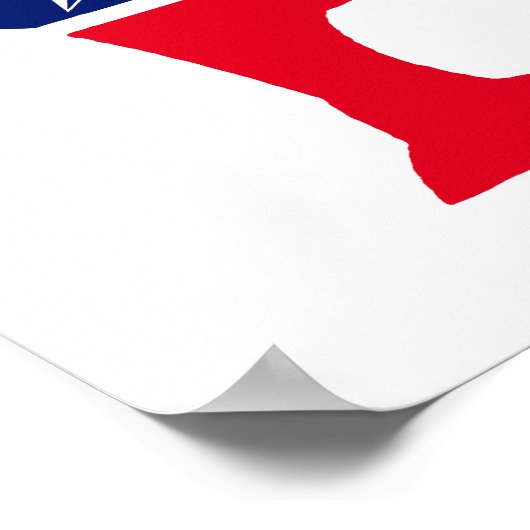 Poster Donkey démocrate (Coin)