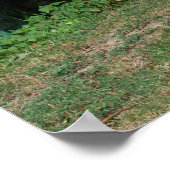 Poster Donkey Sucré Dans Le Jardin (Coin)