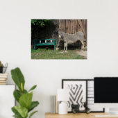 Poster Donkey Sucré Dans Le Jardin (Bureau à domicile)
