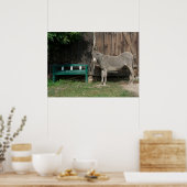 Poster Donkey Sucré Dans Le Jardin (Cuisine)