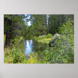 Poster Donner Memorial State Park, Truckee, CA