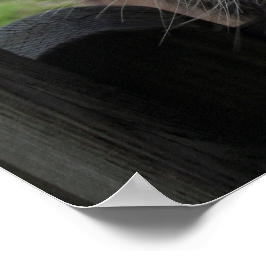 Poster Dons souriants (Coin)