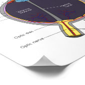 Poster Dont Ke Me In The Eye Eye Anatomy Attitude  (Coin)