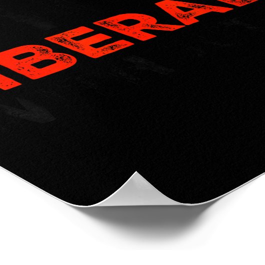 Poster Don't Make Fun Of Liberals Without Me Funny Litica (Coin)