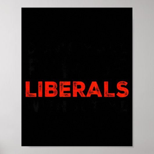 Poster Don't Make Fun Of Liberals Without Me Funny Litica (Devant)