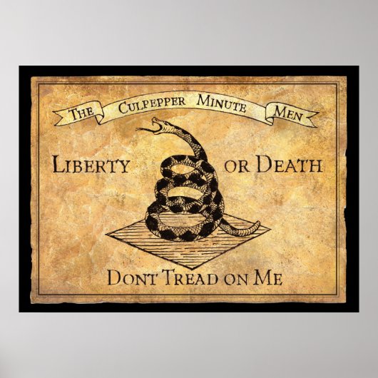 Poster Don't Tread on Me (Devant)