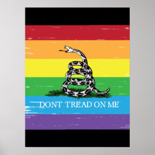 Poster Don't tread on me Gadsden flag LGBT Rainbow grunge