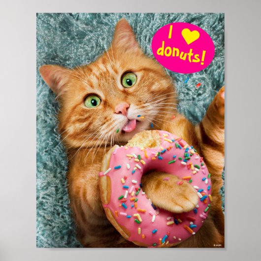 Poster Donut mangeur de chats (Devant)