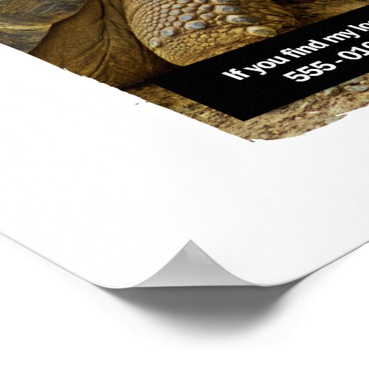 POSTER DOOBY CHIEN PERDU (Coin)