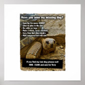 POSTER DOOBY CHIEN PERDU (Devant)