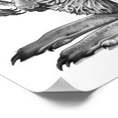 Poster Doodart Kangaroo (Coin)