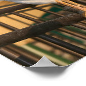 Poster "Doodle Do", Bantam Rooster (Coin)