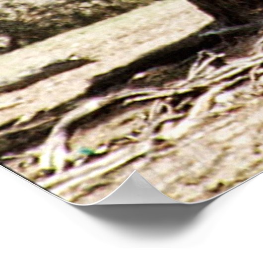 Poster Doof Gypsy (Coin)