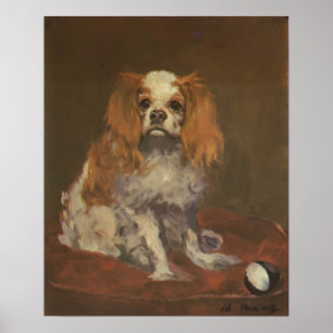 Poster Dop vintage Imprimer "A King Charles Spaniel"