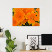 Poster d'Orange Poppies au printemps (Bureau à domicile)