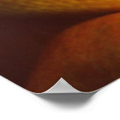 Poster d'oranges / Poster de cuisine en bois (Coin)