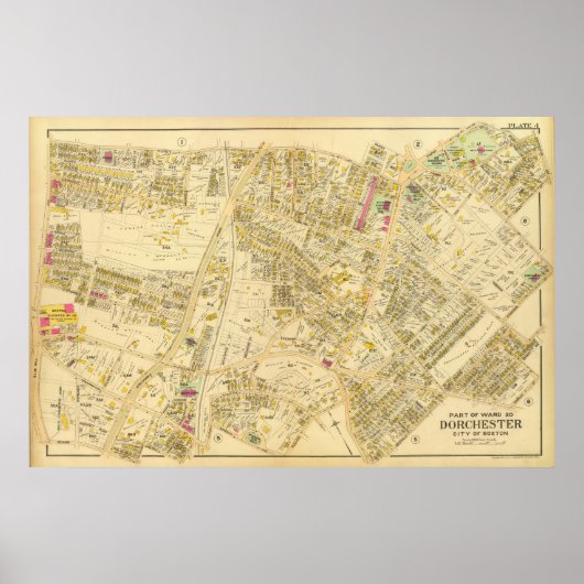 Poster Dorchester, Massachusetts 7 (Devant)