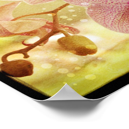 Poster d'orchidées (Coin)