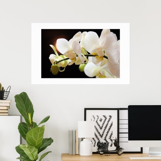Poster d'orchidées blanches (Bureau à domicile)