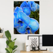 Poster d'orchidées Blue Mystique (Bureau à domicile)