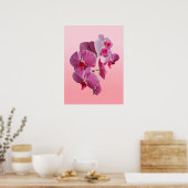 Poster d'orchidées roses (Cuisine)