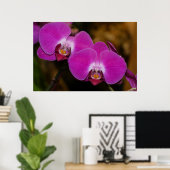 Poster d'orchidées roses chaudes (Bureau à domicile)