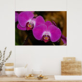 Poster d'orchidées roses chaudes (Cuisine)