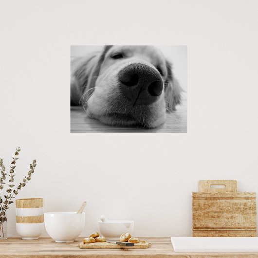 Poster Doré (Cuisine)