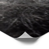 Poster d'origine américaine Iroquois (Coin)