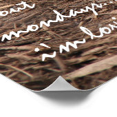 Poster Dormir Cheetah, pourquoi toute cette histoire de l (Coin)