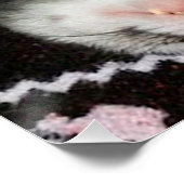 Poster Dormir de furet et de chat (Coin)