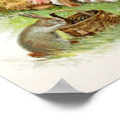 Poster Dormir et rêver de lapins lapins (Coin)