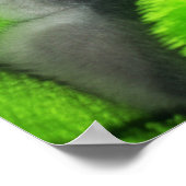 Poster Dormir Kitty (Coin)