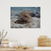 Poster Dormir sur les rochers (Cuisine)