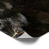 Poster Dornröschenschloss (Coin)